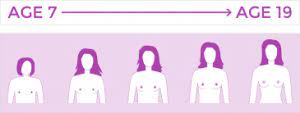 Check spelling or type a new query. How To Know When Your Boobs Stop Growing