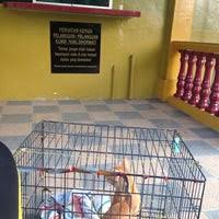 316, jalan dato sulaiman, century garden, 80250 johor bahru, johor. Klinik Veterinar Johor Bahru Kebun Teh
