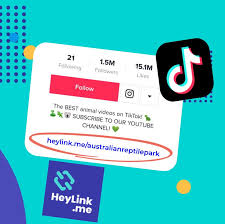 Here's how to do it: How To Add Clickable Link In Tiktok Bio In 2021 Using Heylink Me Blog Faq And Help