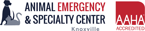 Careers Animal Emergency Specialty Center Of Knoxville
