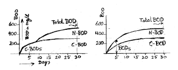 Bod Test History And Description Peter Maier