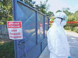 Pesta porcină africană continuă să facă ravagii în românia. Pericolele Pestei Porcine Africane La Ce Trebuie SÄƒ Fim AtenÈ›i Romania Libera