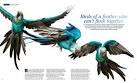 virtual villagers 2 parrots talking voiceovers cartoon network