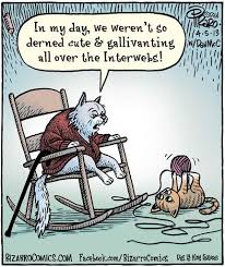 Old Grumpy Cat Funny Cartoons Grumpy Cat Funny Cat Memes