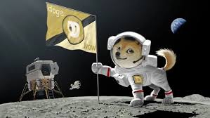 Read my other post about coinbase and binance. How To Buy Dogecoin In Canada With Shakepay And Binance Tutorial Iphone In Canada Blog
