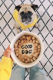 Your Dog Deserves More Of The Good Stuff In 2020 Pets Baby Animals Super Cute Cute Dogs And Puppies