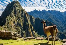 Image result for images of Peru