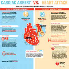 Heart Attack Cardiac Arrest And Stroke Symptoms Heart Brain Medical