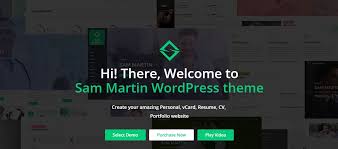 So, you must include everything. Best Wordpress Resume Themes Personal Website Templates In 2020