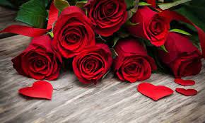 6 Best Valentine S Day Roses To Surprise Your Loved Ones Hello In 2021 Rose Wallpaper Pink Rose Wallpaper Hd Wallpaper Iphone Roses