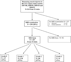 Underdogs nantes and aalborg shock with wins. Flowchart Of Hamstring Muscle Injuries In The Uefa Champions League Download Scientific Diagram