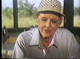 Skyward 1980 "" ❤️An aging Bette Davis is a flight instructor at an old  Texas airport. When a young girl in a wheelchair finds the airport by  watching gliders fly, she decides