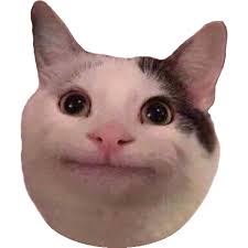 Like If This Is Relatable Guys Memes Funny Cat Faces Cat Memes Cats