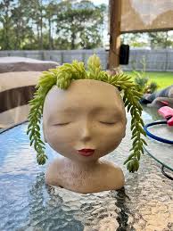 Is this donkeys tail? I expected it to be a lot tighter and smaller ￼than  this, but that's what I was told it was.￼