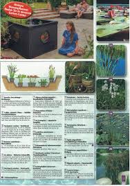 Stauden, kletterpflanzen, sträucher, hecken, bäume, rosen und viele andere pflanze werden bis in ihren garten geliefert. Helmstetter Gmbh Garten Fachmarkt Und Baumschule Katalog 2019