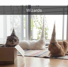 The Day You Ve All Been Waiting For Has Arrived Enjoy These 34 Purr Fect Caturday Memes Cat Memes Hats For Cats Cat Hair