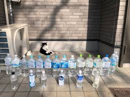 Pelbagai cara dilakukan untuk menghalau kucing dan salah satunya dengan meletakkan botol berisi air warna merah, lebih kurang macam sirap. Asal Usul Petua Halau Kucing Dengan Botol Air Merah Iluminasi