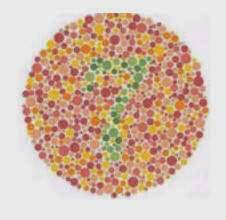 We did not find results for: Tes Buta Warna Bimbel Polisi