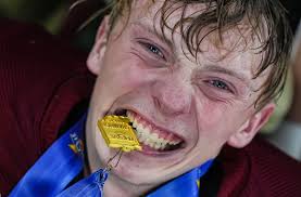 IHSAA state finals football photos: Andrean vs. Evansville Mater Dei