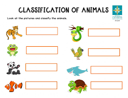 Monkey around primate research project. Classification Of Animals Interactive Worksheet
