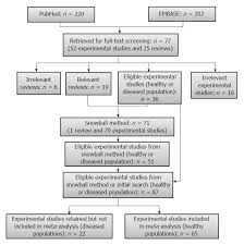 Effects Of Cereal Fiber On Bowel Function A Systematic