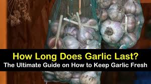 Can minced garlic go bad? How Long Does Garlic Last The Ultimate Guide On How To Keep Garlic Fresh