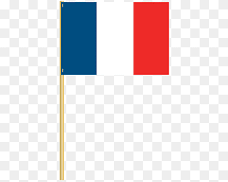1 flags 2 standards 3 military flags 4 historical flags 4.1 national flags and ensigns 4.2 standards 4.3 french colonial empire and oversea territories Party Of France Png Images Pngwing