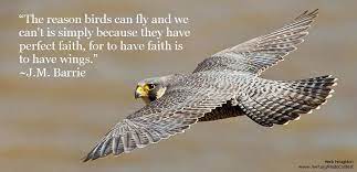 The Reason Birds Can Fly And We Can T Is Simply Because They Have Perfect Faith For To Have Faith Is To Have Wings J Self Esteem Quotes Have Faith Barrie