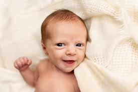 Dee Hoehn Photography