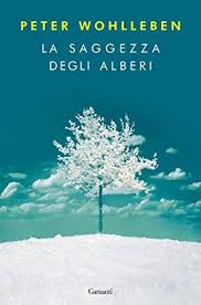 Pin On Free Ebook