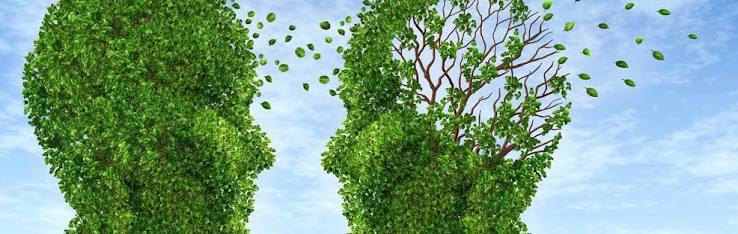 Troubles psychiatriques vieillesse | HEdS-FR - Haute &eacute;cole de sant&eacute; Fribourg