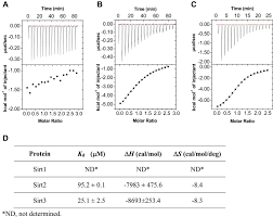 Clevertronics economy led lifelight rec n/m 140mm lith. Identification Of Erasers For Lysine Crotonylated Histone Marks Using A Chemical Proteomics Approach Elife