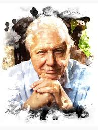 The Art of Unintentional Camouflage