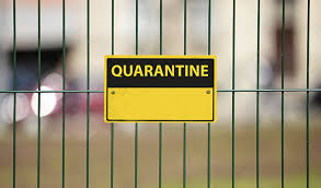 Italian and medieval latin quarantina. Dot Lib Cuarentena El Origen Y Su Importancia Como Medida De Contencion De Enfermedades
