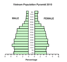 Vietnam Age Structure And Population Pyramid