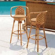 Pin On Backyard Tiki Bar