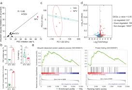Image result for Nelfinavir