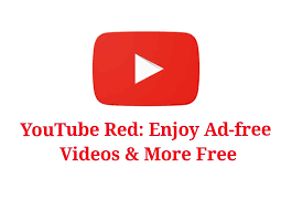Watch Youtube Videos Without Ads For Free Youtube Youtube Without Ads Music Player App