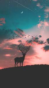Free for commercial use no attribution required high quality images. Animal Wallpapers Page 8 Of 15 Iphone Wallpapers Iphone Wallpapers Animal Wallpaper Sunset Silhouette Deer Wallpaper