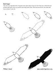 How to draw a eagle for kids easy and step by step. How To Draw An Eagle Flying Eagle Drawing Realistic Drawings Animal Drawings