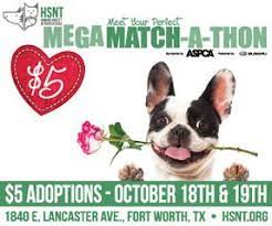 Humane Society Of North Texas Hsnt Animal Shelter Animal Shelter Pet People Animals