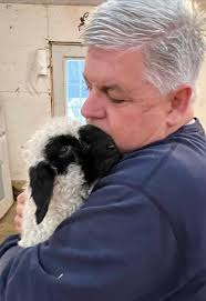 Are there any Valais Sheep breeders in South Dakota?