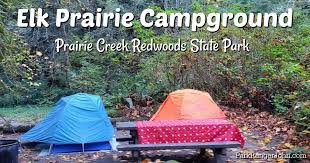Set just off the highway in prairie creek redwoods state park, to the north of redwood national park, elk prairie campground is. Elk Prairie Campground Prairie Creek Redwoods State Park Video Park Ranger John
