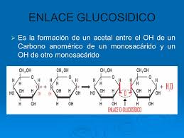 Resultado de imagen para enlace glucosídico