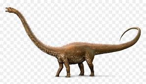 The following are dinosaurs drawing lessons and step by step cartooning tutorials. Brontosaurus Drawing Real Dinosaur Diplodocus Clipart Hd Png Download Vhv
