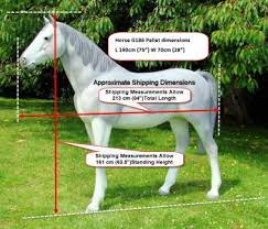 Horses are the most noble creatures on this planet. Life Sized Large Plastic Model Animals Horse Pig Cow Dog Birds Mannequins