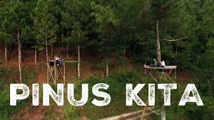 Harga kain per meter di kota pacitan / 081 330 690 081 jual atap upvc dr shield per meter pacitan supplier konstruksi indonesia / suku bawean mendiami pulau bawean di bagian utara kabupaten gresik. Pinus Kita Gemaharjo Berwisata Sambil Melihat Pemandangan Hutan Pinus Dari Ketinggian Tempat Me