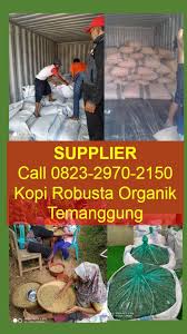 100 Organik Wa 0823 2970 2150 Harga Kopi Robusta Organik Yang Asam Di 2020 Petani Kopi Hijau