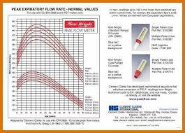 Peak Flow Chart Pdf Uk Www Bedowntowndaytona Com