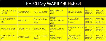 insanity asylum 30 day workout program